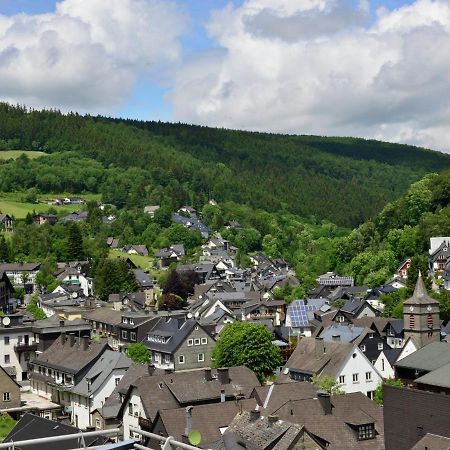 Beautiful Apartment In Willingen With Balcony Exteriér fotografie